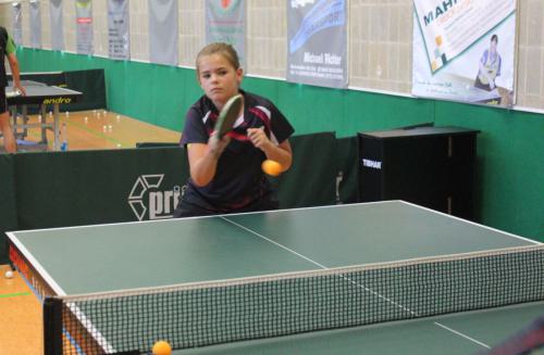 ballenstedt 2015 trainingslager 213 20150902 1316878714