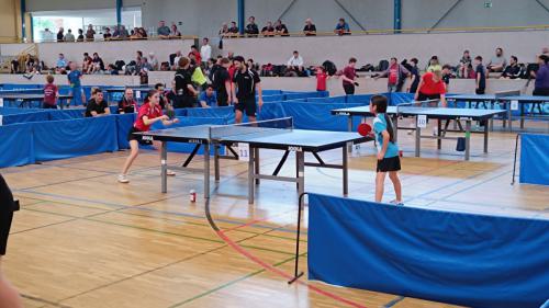 PfingsTTurnier2023 Fotograf Hans-41