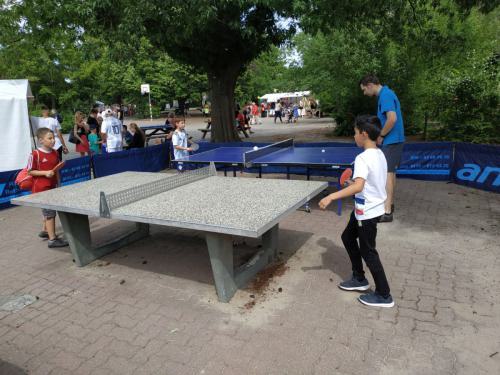 2019 LSC Jahr 46-0 Schulfest