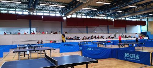 PfingsTTurnier-2024-Fotograf -Nadine-Stuever 008