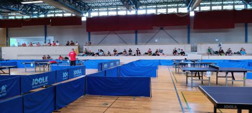 PfingsTTurnier-2024-Fotograf -Nadine-Stuever 011