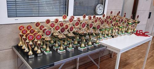 PfingsTTurnier-2024-Fotograf -Nadine-Stuever 019