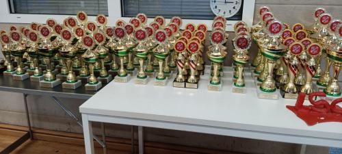 PfingsTTurnier-2024-Fotograf -Nadine-Stuever 022