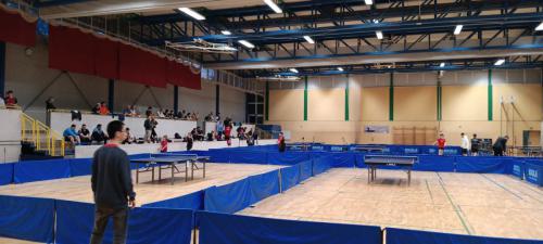 PfingsTTurnier-2024-Fotograf -Nadine-Stuever 040