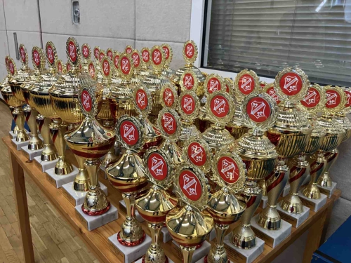 PfingsTTurnierr-2025-Fotograf in-Manuela-Honscha-39