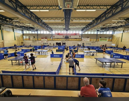 PfingsTTurnierr-2025-Fotograf in-Manuela-Honscha-45