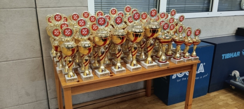 PfingsTTurnier-2025-Fotograf -Nadine-Stuever 020