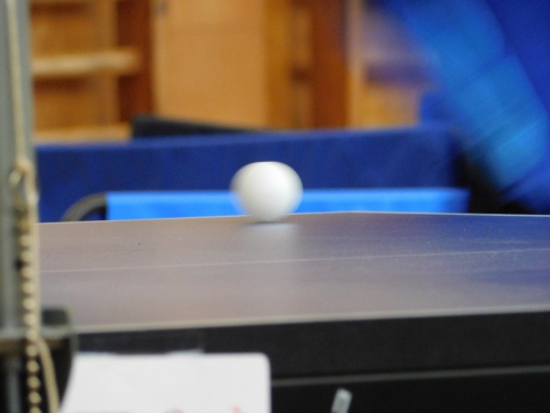 Vereinsmeisterschaften-Erwachsene-Fotograf in-Nadine-Stuever-141