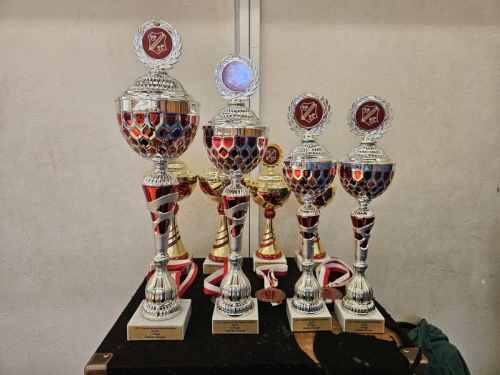 Vereinsmeisterschaften-Erwachsene-Fotograf in-Nadine-Stuever-177