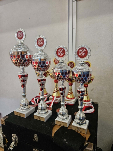 Vereinsmeisterschaften-Erwachsene-Fotograf in-Nadine-Stuever-178