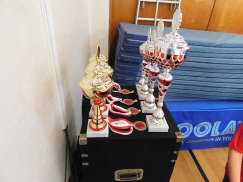 Vereinsmeisterschaften-Erwachsene-Fotograf in-Nadine-Stuever-21