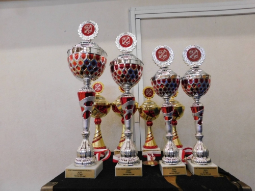 Vereinsmeisterschaften-Erwachsene-Fotograf in-Nadine-Stuever-33